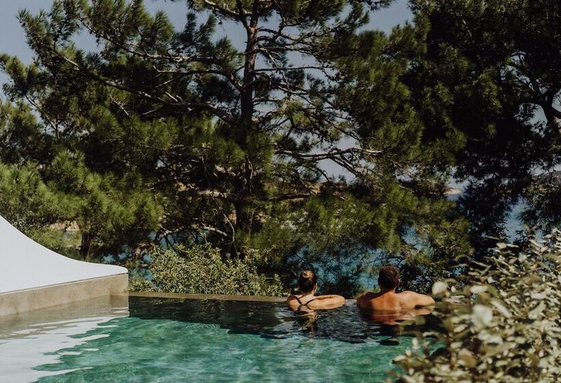 ویلای 2 خوابه, Minos Beach Art Hotel, A Member Of Design Hotels