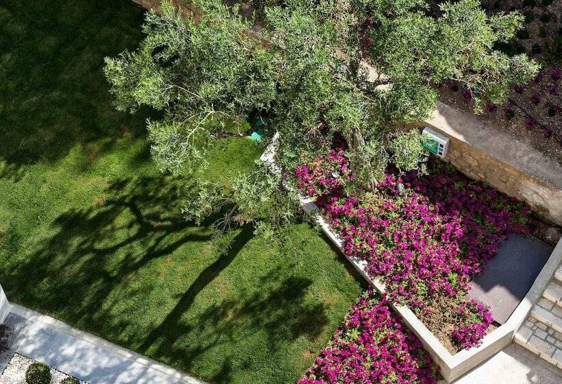 اتاق پریمیوم با چشم‌انداز باغ, Ammon Zeus Luxury Beach