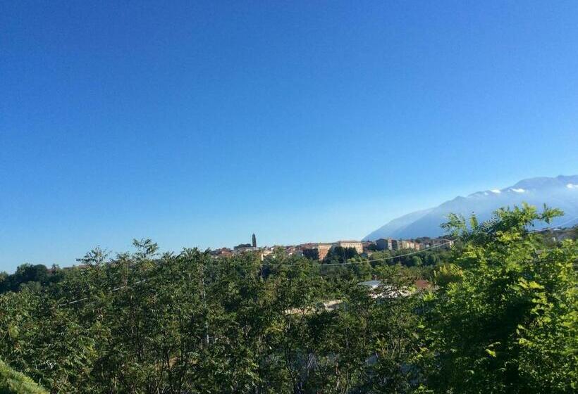 Номер Стандарт, Altamira