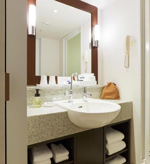 Номер Премиум, Keio Plaza Hotel Sapporo