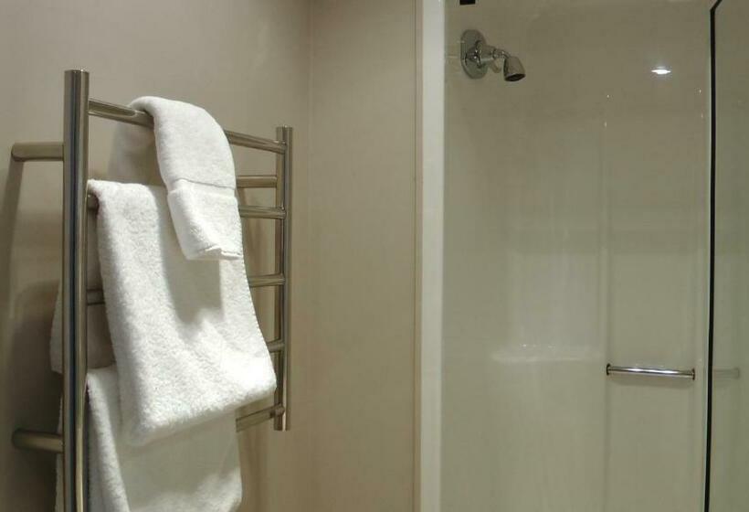스탠다드 스튜디오, Manukau Motor Lodge