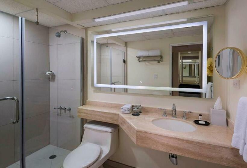 اتاق لوکس با بالکن, Sheraton Presidente San Salvador