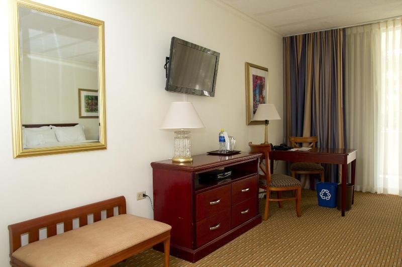 سوئیت جونیور با تخت بزرگ, Sheraton Presidente San Salvador