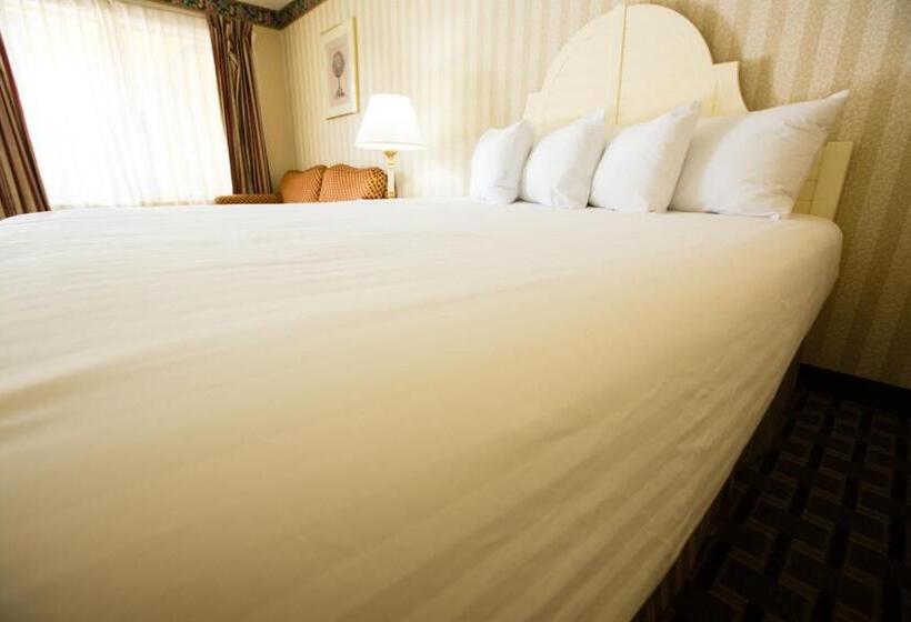 Standard-huone King-vuode, Anaheim Carriage Inn