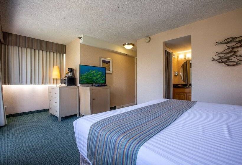 Номер Superior, Aqua Aloha Surf Waikiki