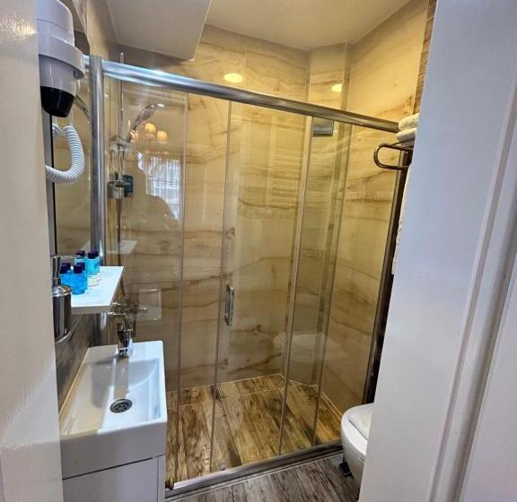 اتاق استاندارد, Bakirkoy Tashan Business & Airport