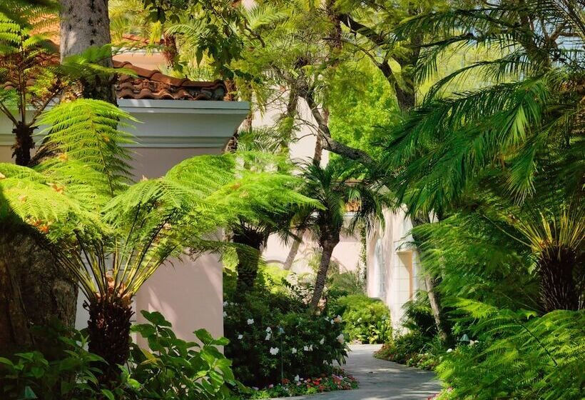 Номер Deluxe Внутренний, Belair  Dorchester Collection