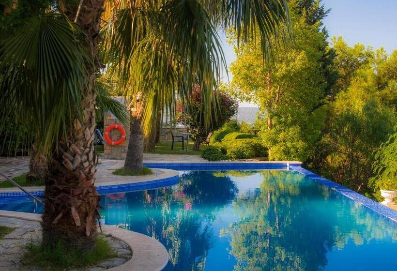Standard Room Pool View, Magna Manastir