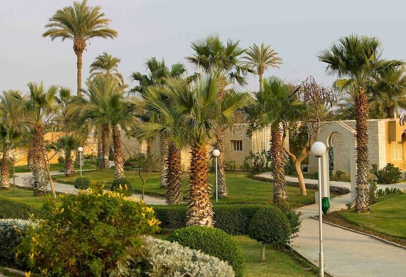اتاق استاندارد, Mercure Ismailia Forsan Island
