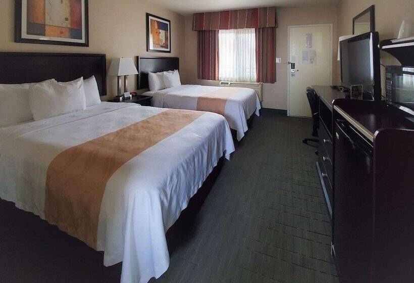 Standard-huone Queen-vuode, Quality Inn & Suites Anaheim At The Park