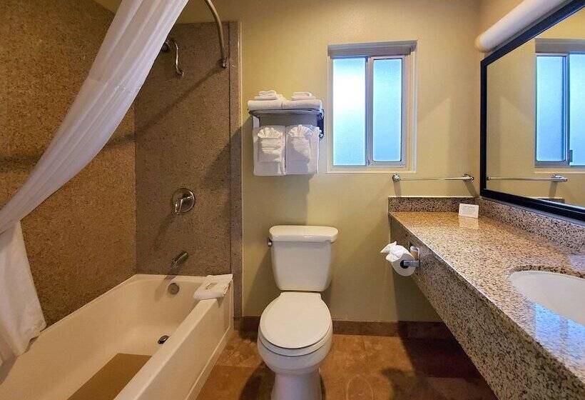 Standard-huone, Quality Inn & Suites Anaheim At The Park