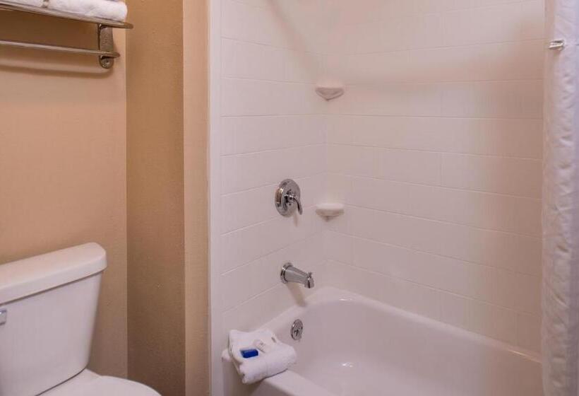Стандартный Номер Кровать Кинг, Best Western Ambassador Inn & Suites
