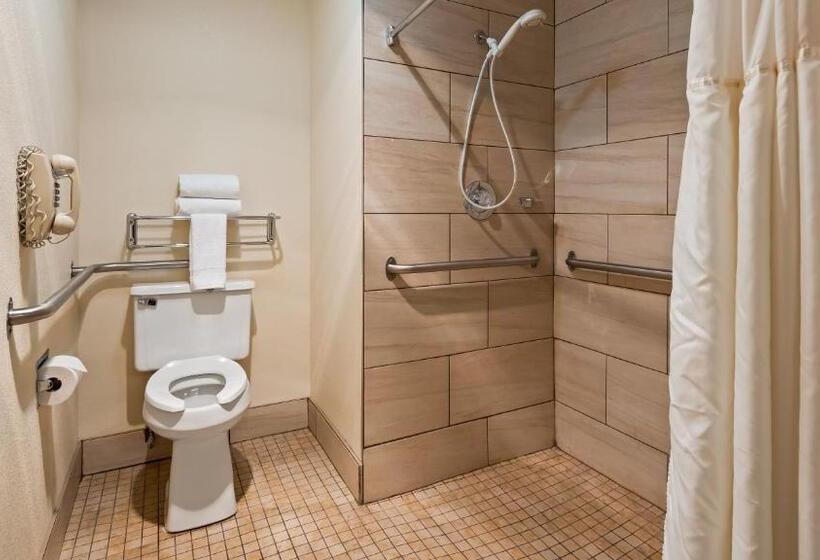 Номер Стандарт Кровать Кинг Адаптированный для Инвалидов, Best Western Parkside Inn