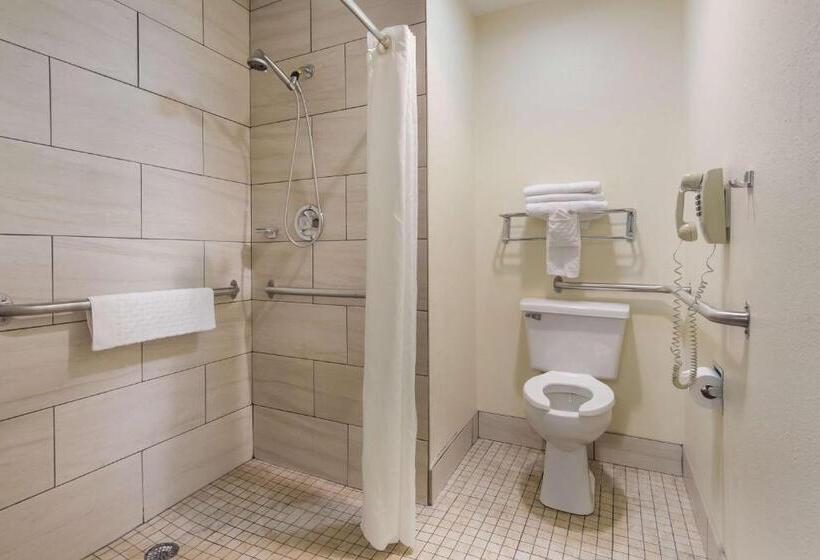 Номер Стандарт Кровать Кинг Адаптированный для Инвалидов, Best Western Parkside Inn