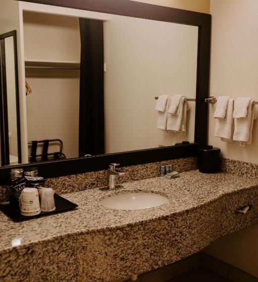 스탠다드 룸 킹사이즈 침대, Best Western Sonoma Winegrower's Inn
