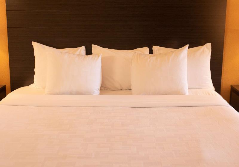 스탠다드 룸, Best Western Sonoma Winegrower's Inn
