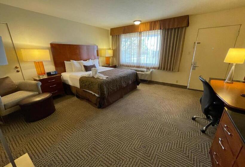 اتاق استاندارد با تخت بزرگ, Coronado Motor Hotel, A Travelodge By Wyndham