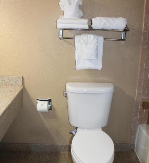 חדר סופריור עם מיטת קינג, Clarion Hotel Bakersfield North
