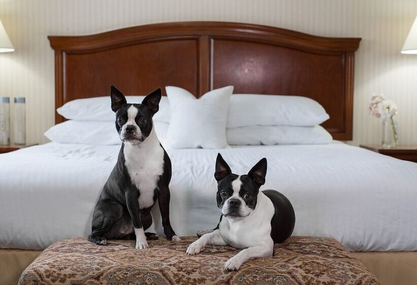 اتاق استاندارد, Rogue Regency Inn & Suites