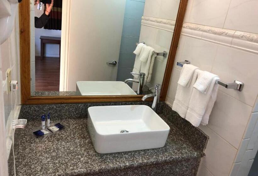 스탠다드 룸 킹사이즈 침대, Americas Best Value Inn Visalia
