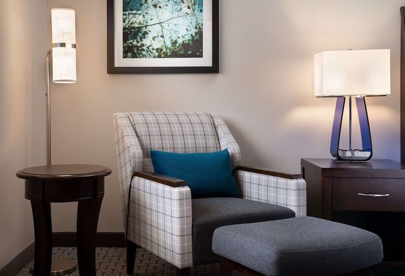 חדר סטנדרט מיטה זוגית, Hilton Garden Inn Denver/cherry Creek