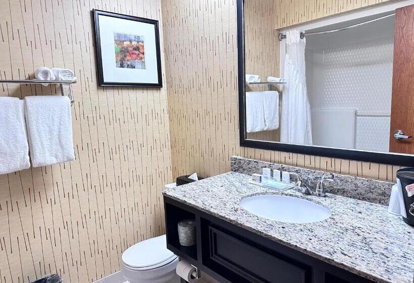 Номер Стандарт, Holiday Inn Express Big Rapids, An Ihg