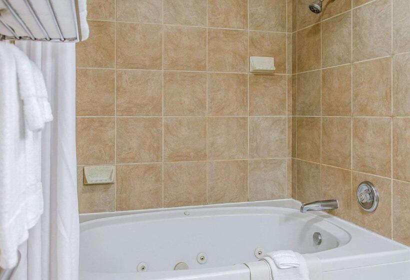 Люкс Кровать Кинг, Quality Inn & Suites