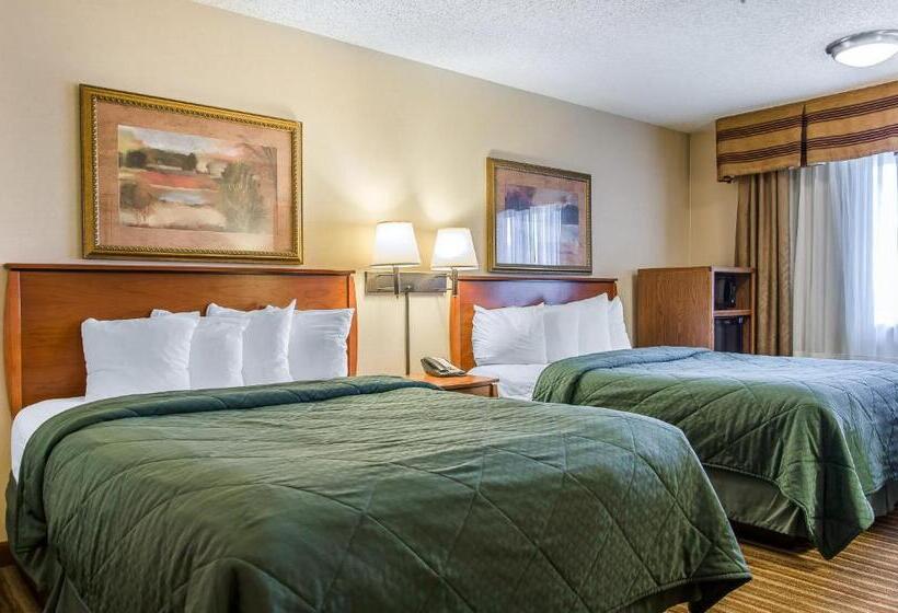 Номер Стандарт, Quality Inn & Suites