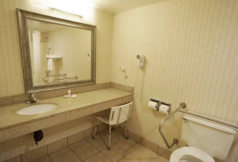 디럭스 룸, Red Roof Inn Gurnee  Waukegan