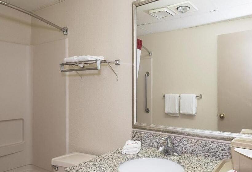 Номер Deluxe, Red Roof Inn Hartford  Vernon