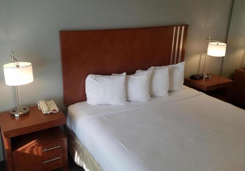 Номер Стандарт Кровать Кинг Адаптированный для Инвалидов, Surestay Hotel By Best Western Hollister