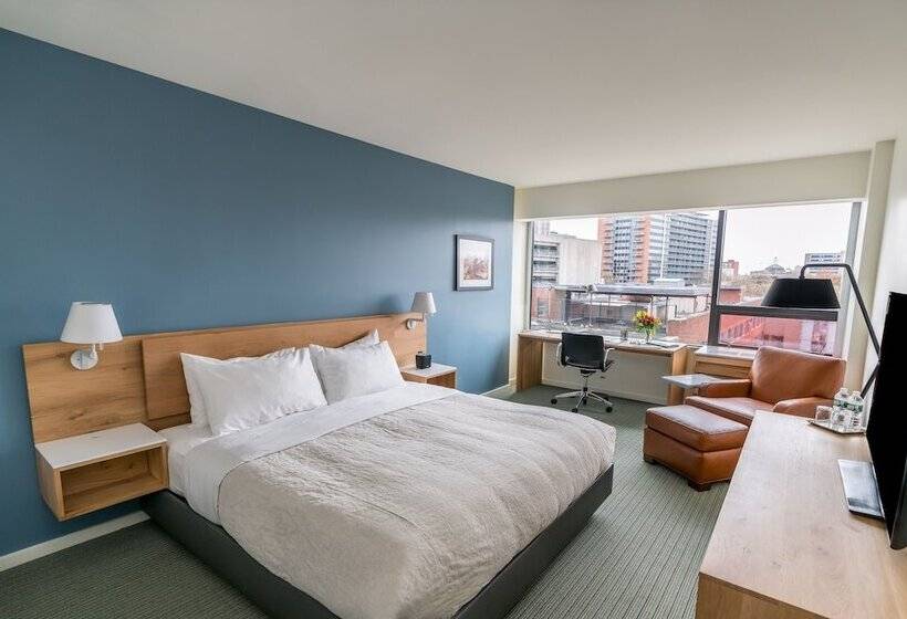 Номер Deluxe, The Study At Yale, Study Hotels