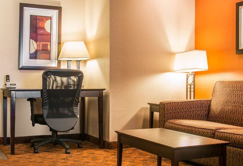 Люкс Кровать Кинг, Comfort Inn & Suites And Conference Center
