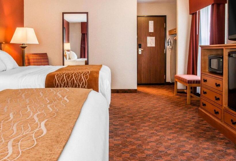 Номер Стандарт, Comfort Inn & Suites And Conference Center