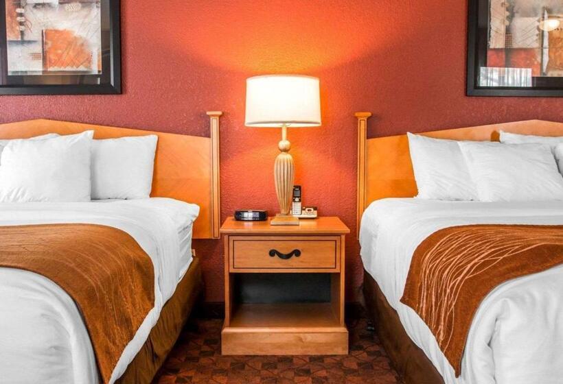 Номер Стандарт, Comfort Inn & Suites And Conference Center