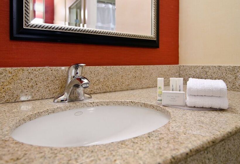 חדר סטנדרט שתי מיטות זוגיות, Courtyard By Marriott Albuquerque Airport