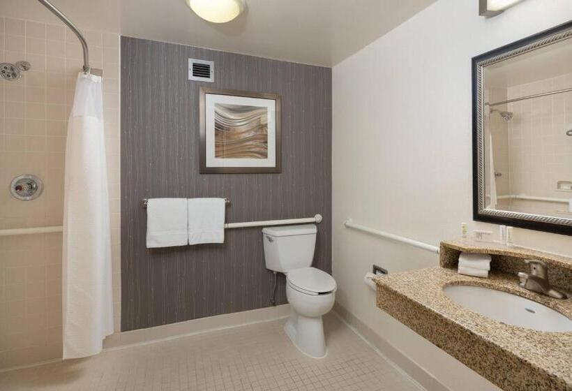 Standaardkamer met Kingsize Bed, Courtyard Chicago Wood Dale/itasca