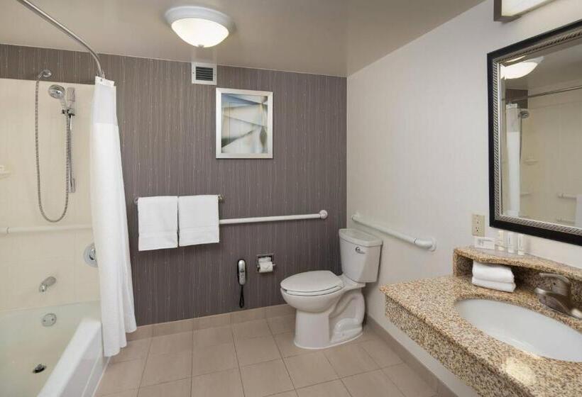 Standaardkamer met 2 Tweepersoonsbedden, Courtyard Chicago Wood Dale/itasca