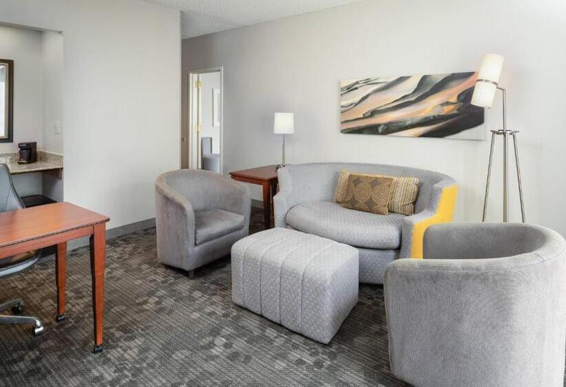 Suite met Kingsize Bed, Courtyard Chicago Wood Dale/itasca