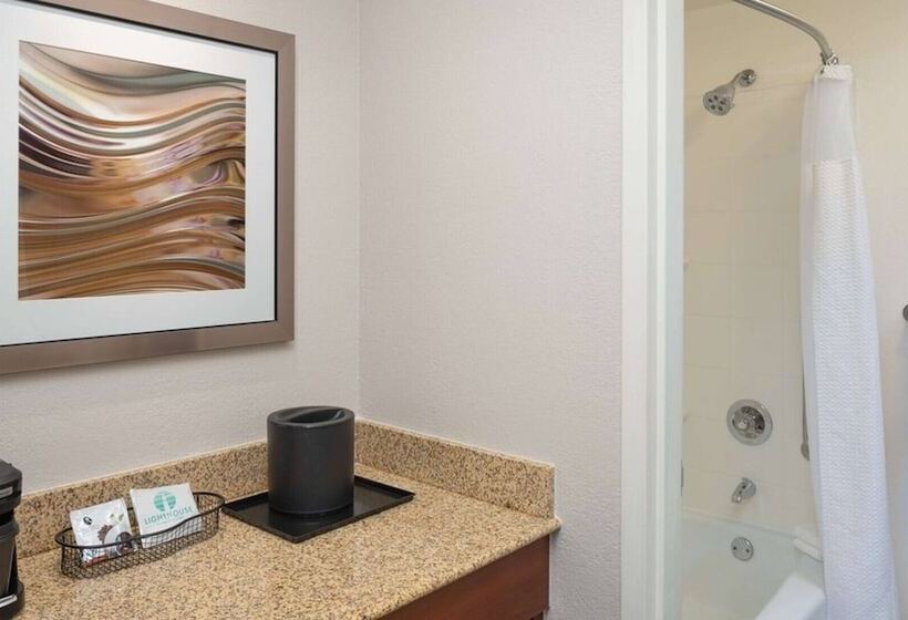 Standaardkamer met 2 Tweepersoonsbedden, Courtyard Chicago Wood Dale/itasca