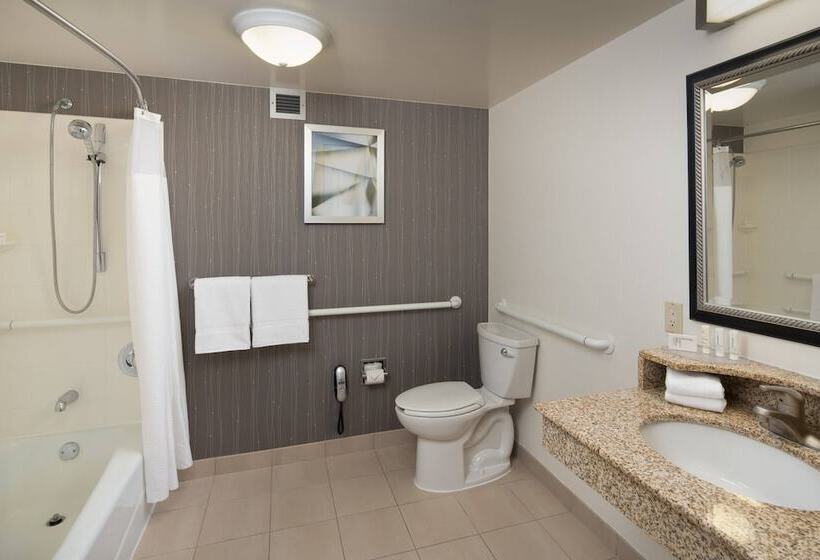 Suite met Balkon, Courtyard Chicago Wood Dale/itasca