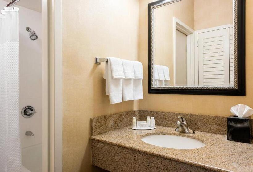 장애인을 위한 킹사이즈 침대 스탠다드 룸, Courtyard St. Louis Creve Coeur