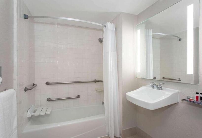 اتاق استاندارد با تخت بزرگ برای معلولان, Days Inn By Wyndham Orlando Conv. Center/international Dr