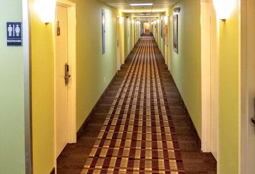 Номер бизнес-класса, Days Inn By Wyndham Windsor Locks / Bradley Intl Airport
