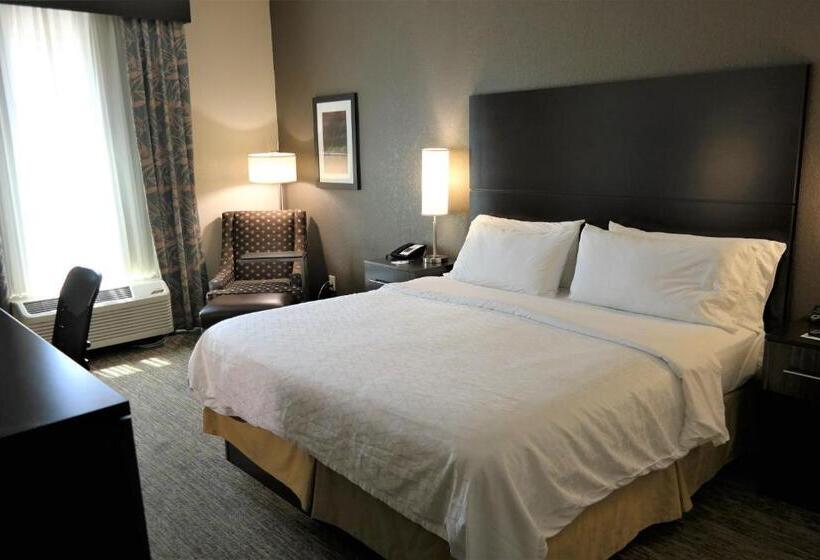 스탠다드 룸 킹사이즈 침대, Holiday Inn Express Fredericksburg   Southpoint, An Ihg