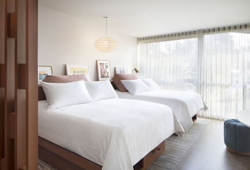 프리미엄 룸, Flamingo Resort & Spa
