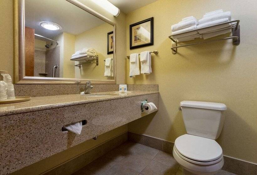 适合残疾人士使用的套间, Comfort Suites Near Gettysburg Battlefield Visitor Center