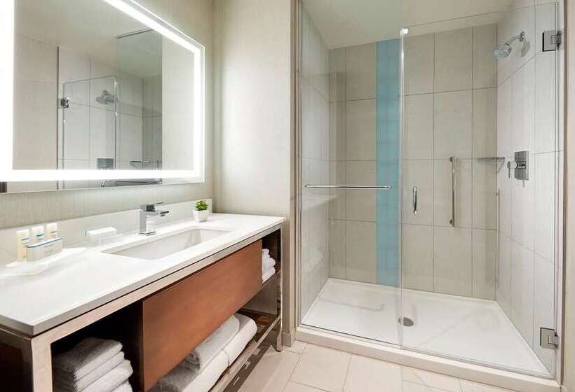 Люкс Кровать Кинг, Embassy Suites By Hilton Atlanta Galleria