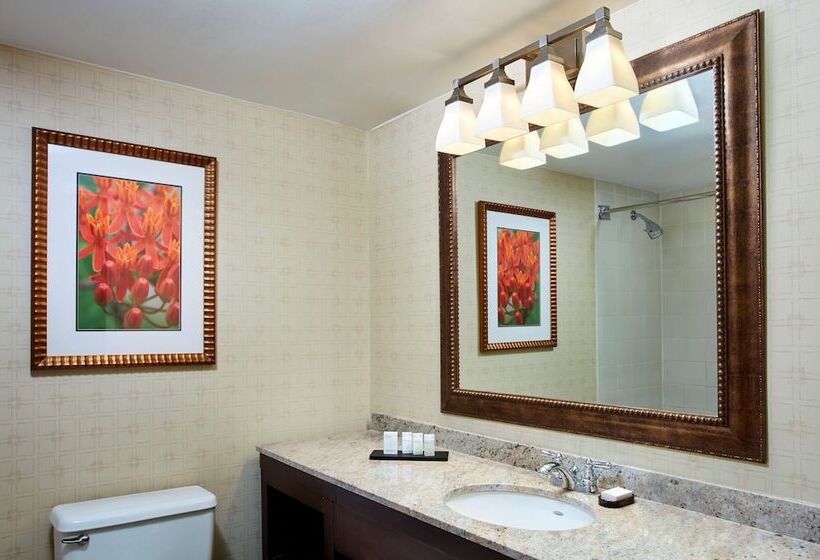 프레지덴셜 스위트, Embassy Suites By Hilton Parsippany