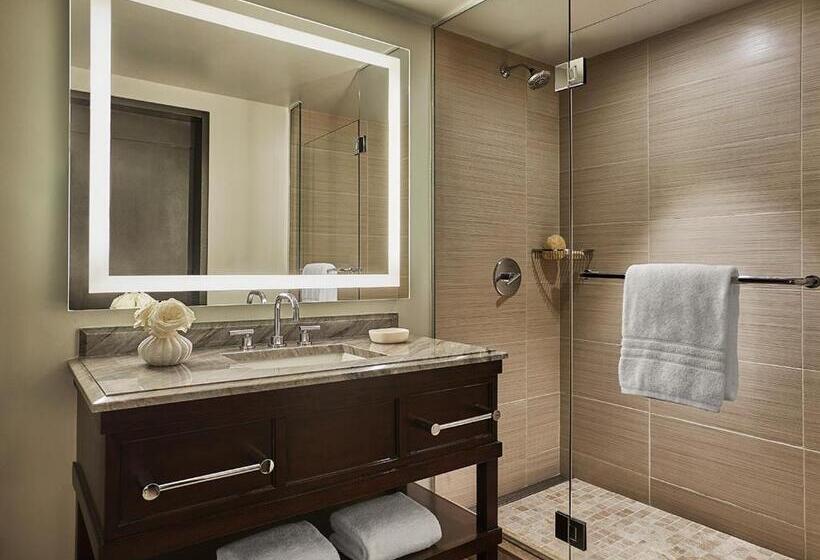 חדר סטנדרט נוף לעיר, Four Seasons Hotel Austin